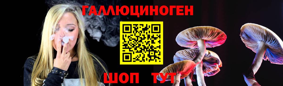 Абинск  Псилоцибиновые грибы мицелий  Вход с VPN  Псилоцибиновые грибы GOLDEN TEACHER 